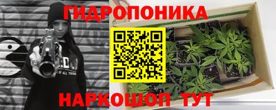 дмт Волжск