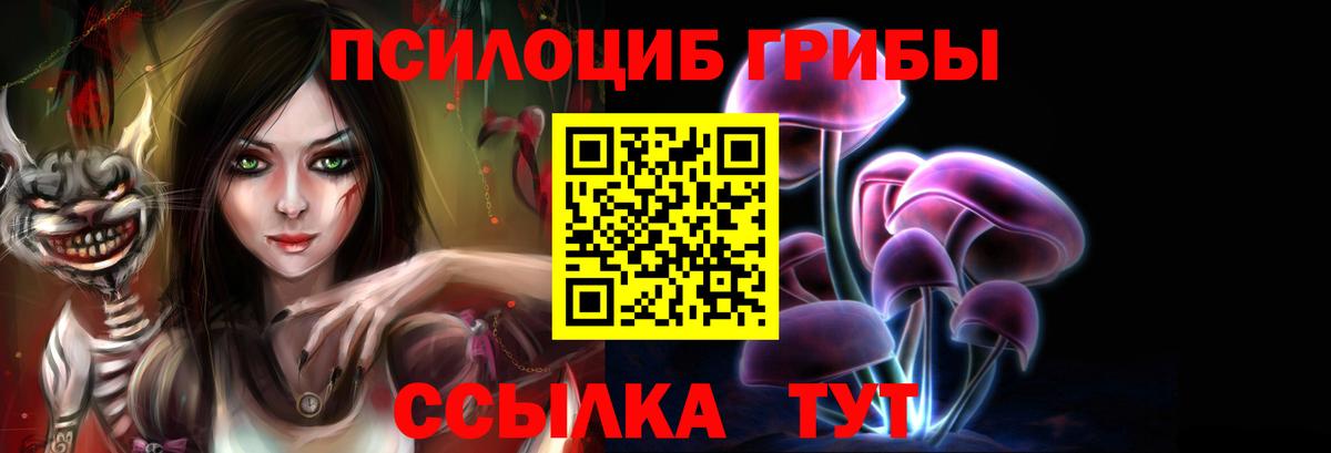 Галлюциногенные грибы GOLDEN TEACHER Ессентуки